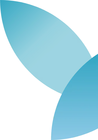 reach-million-partical